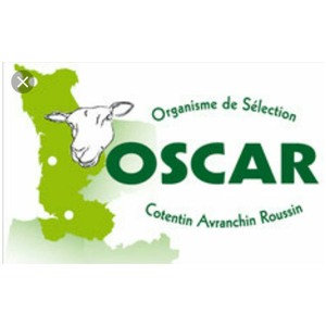 logo Organisme de Sélection Cotentin Avranchin Roussin Manche